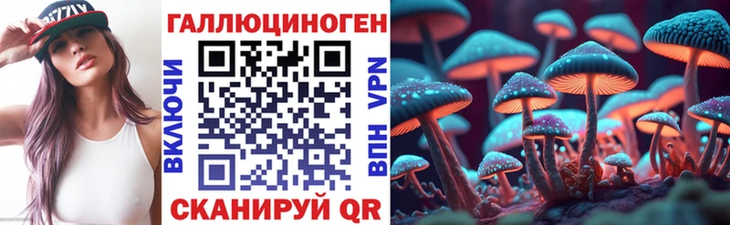 где можно купить Озёры Галлюциногенные грибы прущие грибы